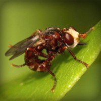 /album/veterinaria-el-potrillo/photolia-a06-jpg/